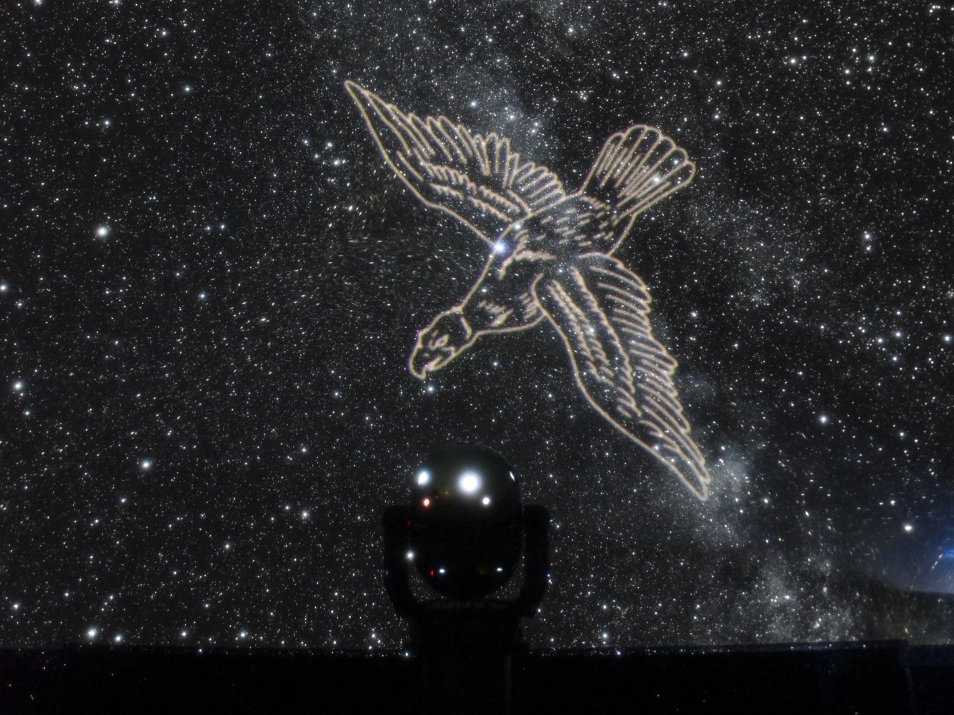 プラネタリウムで輝く星々に癒やされる | 星空との出会い | ワンダフル