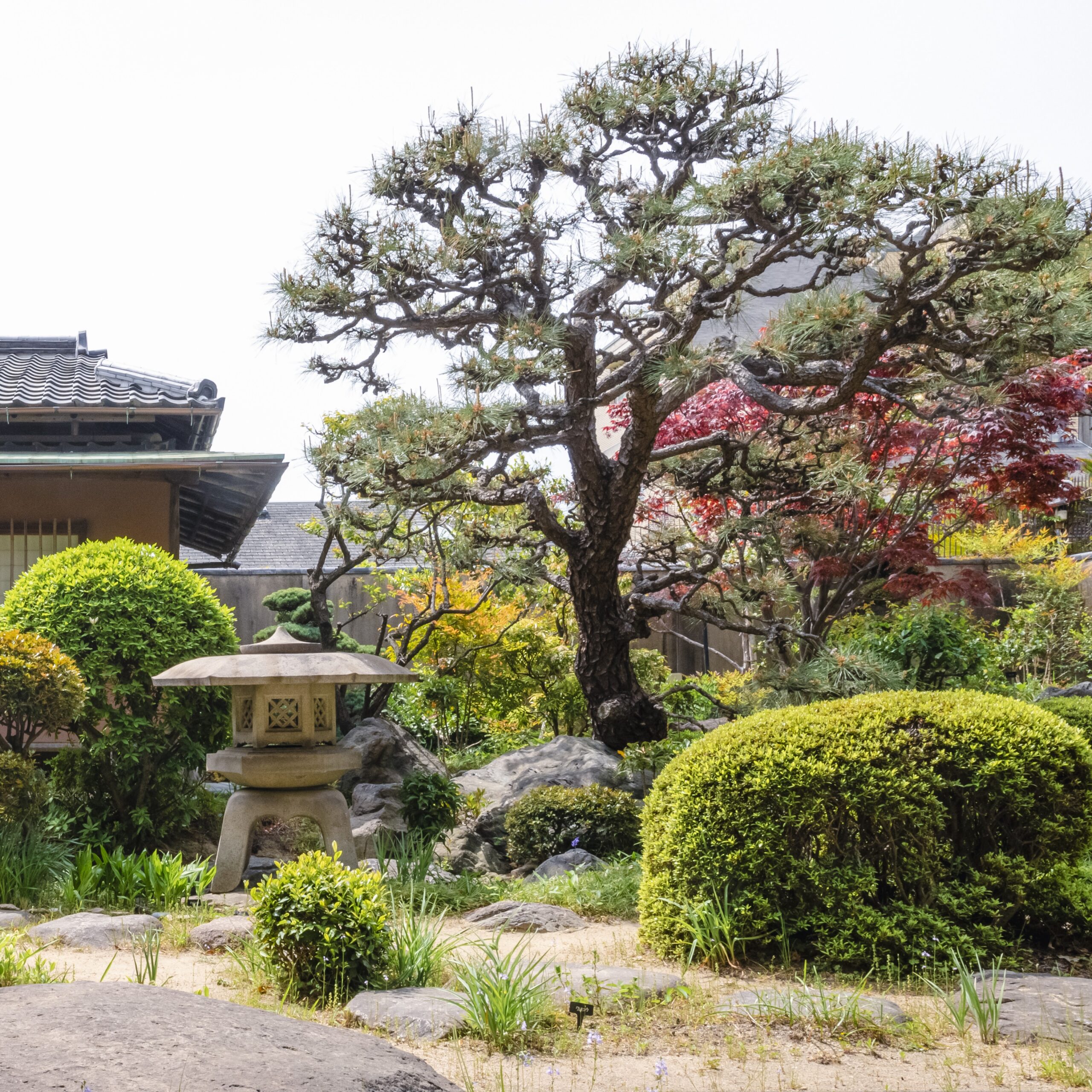 穴場の日本庭園を巡る | 穴場の日本庭園を巡る | ワンダフルコウベweb