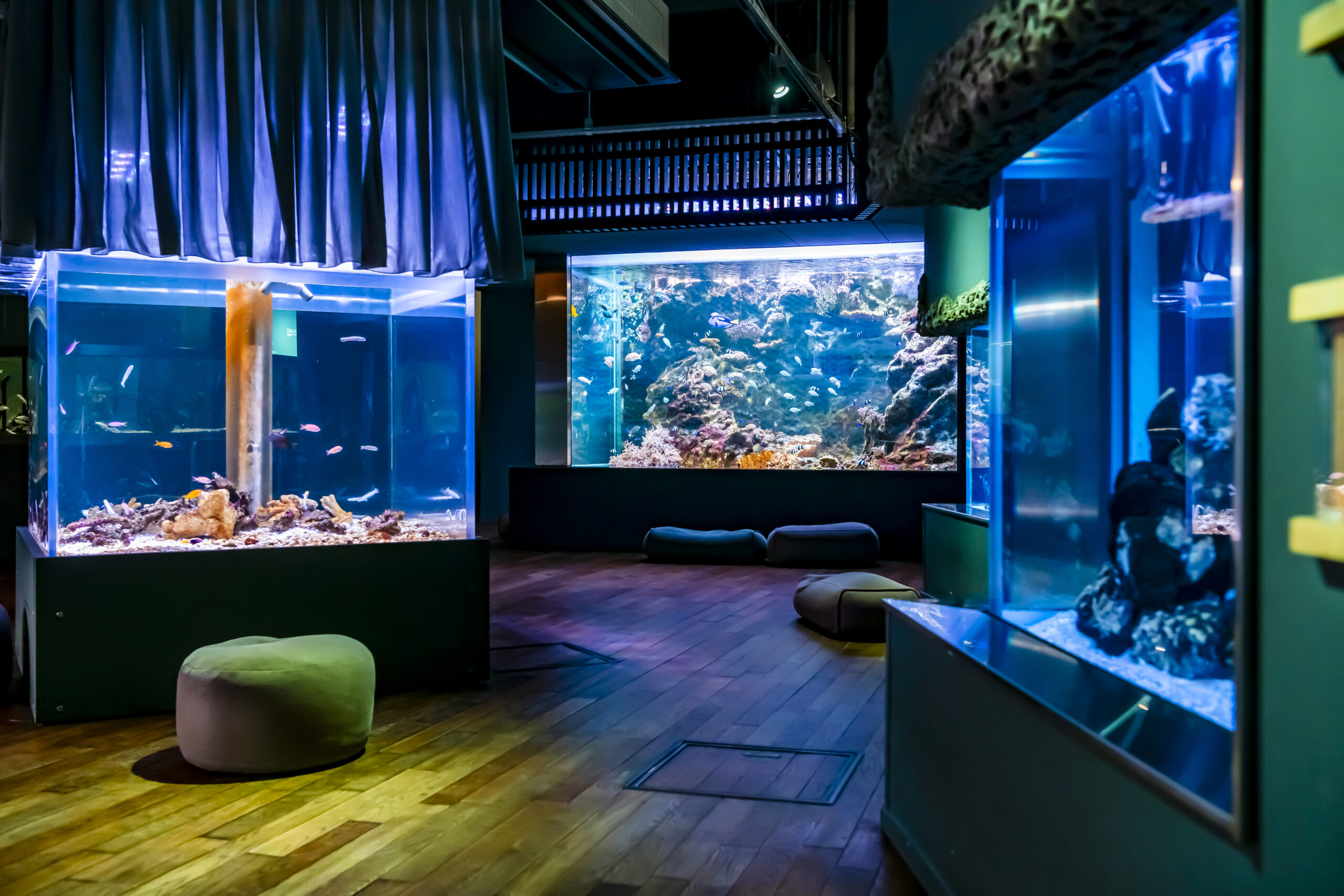生き物や自然と触れ合える「NATURE STUDIO」 | 夏のおすすめクール